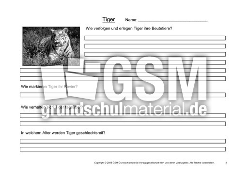 Tiger-Fragen-3.pdf